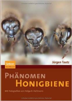 thumbnail - Phänomen Honigbiene